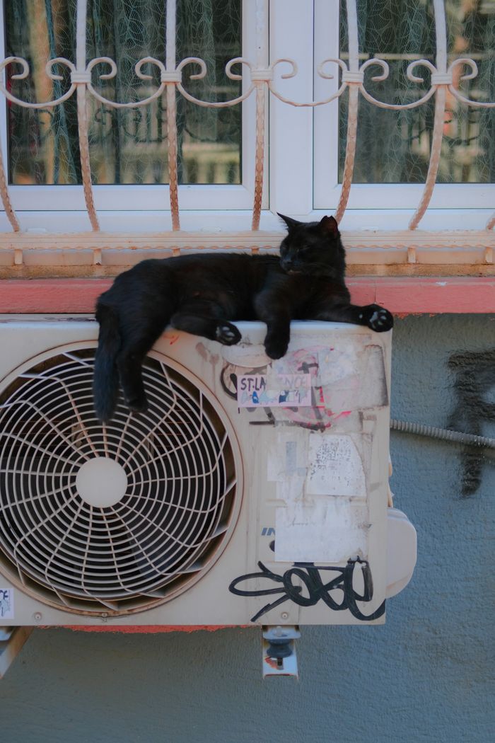 A black cat lounging comfortably on an outdoor air conditioning unit.